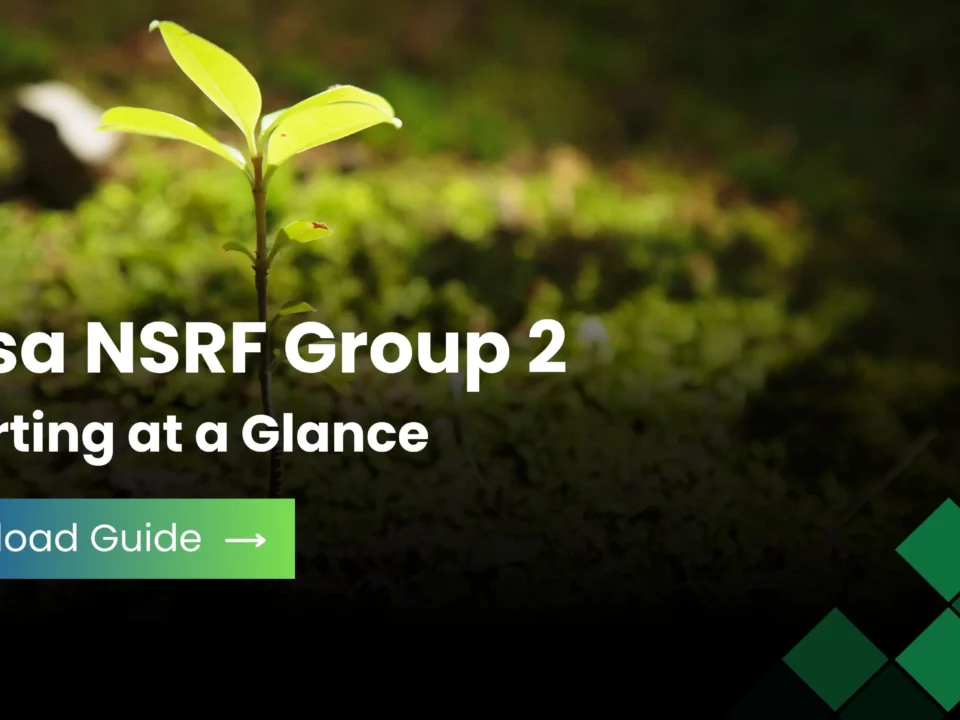 Bursa NSRF Group 2 Reporting at a Glance (1)