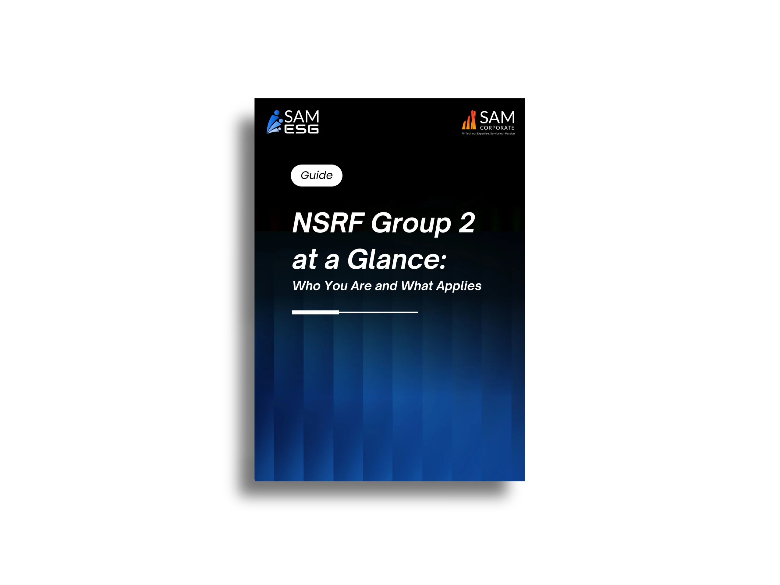 NSRF Group 2 at a Glance Who You Are and What Applies