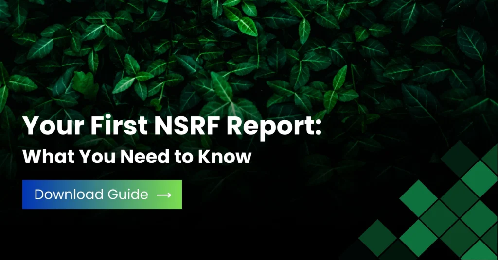 Your First NSRF Report: What You Need to Know | Complete Guide