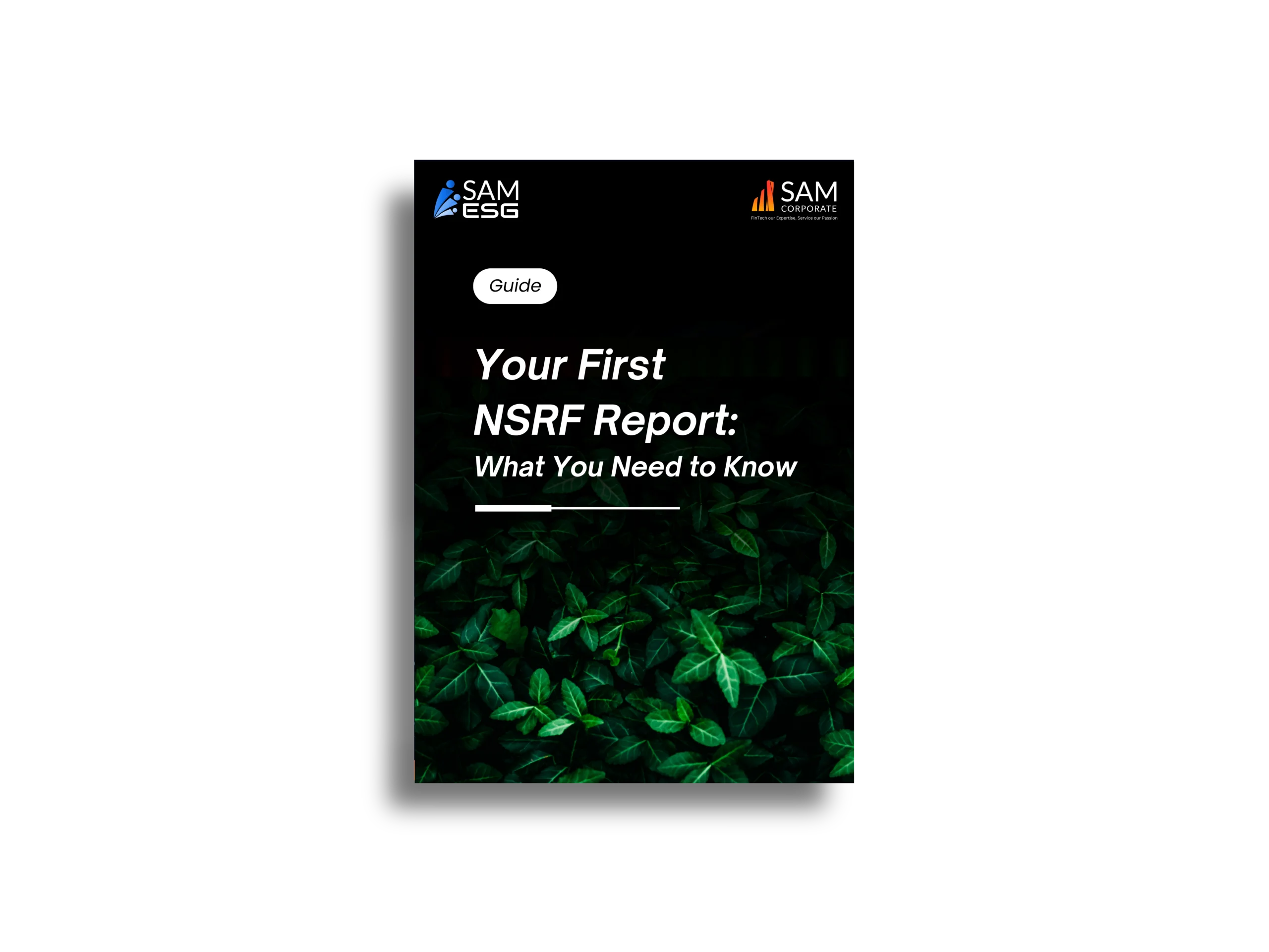 Your Essential Guide to Getting Started with NSRF Sustainability Reporting